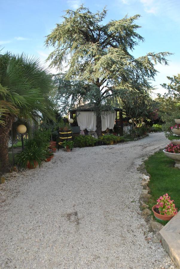 Villino Alle Terme วิแตร์โบ ภายนอก รูปภาพ
