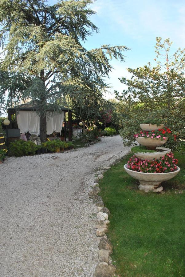 Villino Alle Terme วิแตร์โบ ภายนอก รูปภาพ